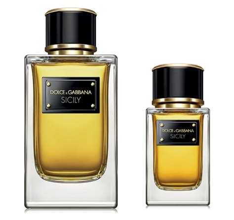 ultimo profumo dolce e gabbana donna